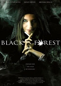 Темный лес: Ганс, Грета и 420-я ведьма (2013)