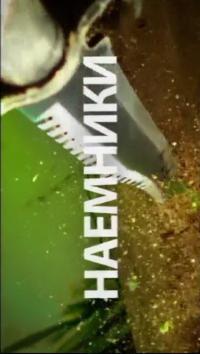 Наемники 2013