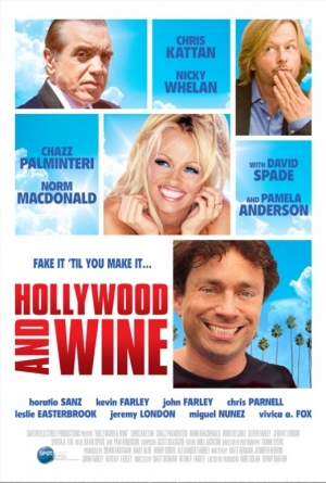 Голливуд для начинающих (2010)